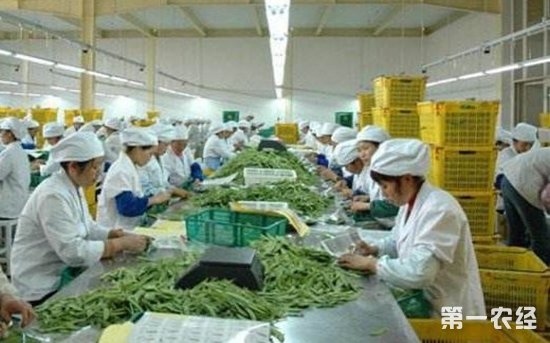 以技術集成基地為引擎 推動農產品加工產業轉型升級